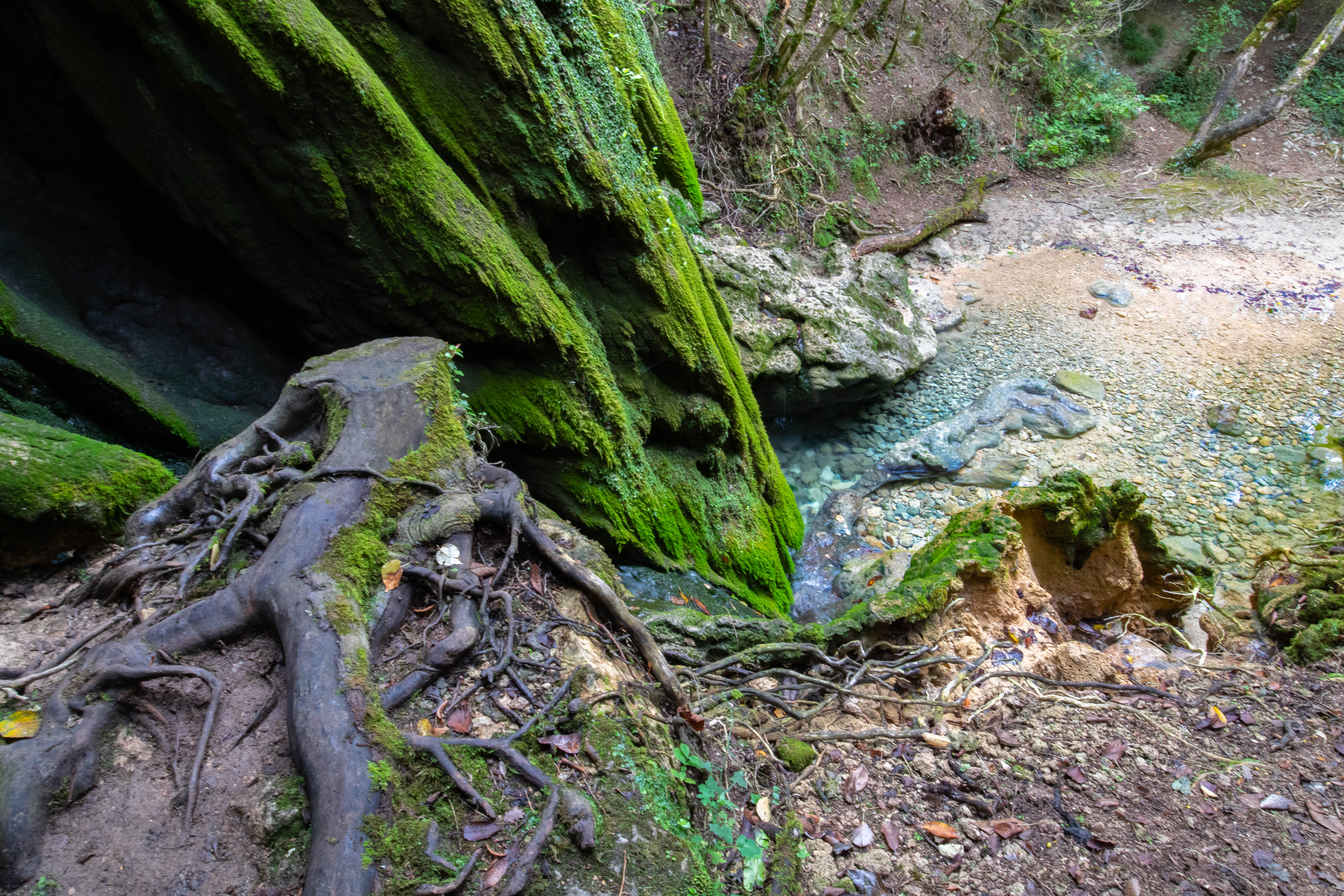 Un petit tour en Occitanie